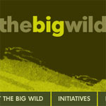 The Big Wild
